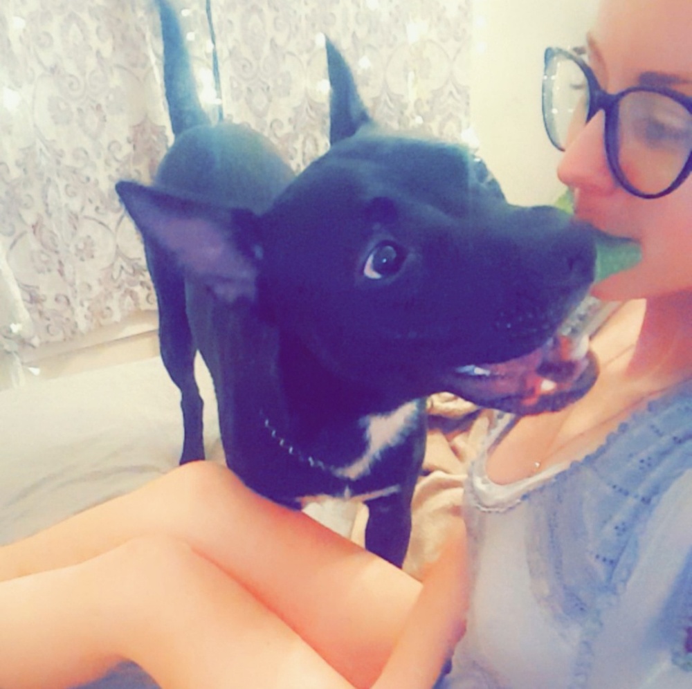 Meet your Posher, Kat